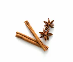 Cinnamon Stick 