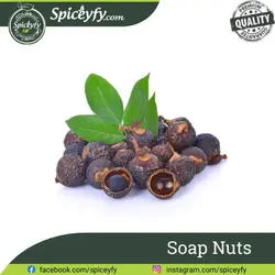 Reetha / Soap Nut