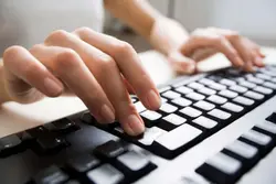 Data Entry and Analysis
