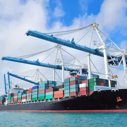 Import & Export Training