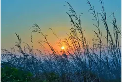 Nature Photography