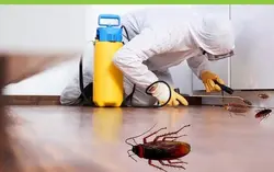 Cockroach control