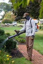 Mosquito Control