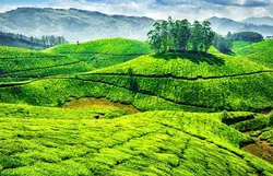 Highlights of Kerala