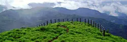  Kerala Hill Station Tour Package
