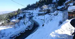 Shimla - Kulu - Manali Tour Package