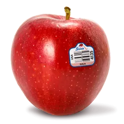 APPLE USA