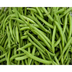 BEANS FRENCH