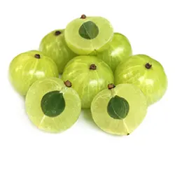 GOOSEBERRY NELLIKA