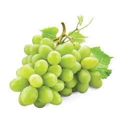 GRAPE WHITE