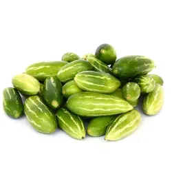 IVY GOURD (KOVAKKA)