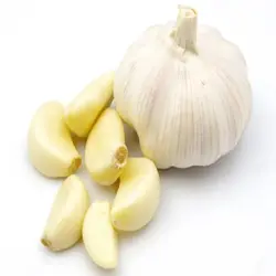 GARLIC INDIAN