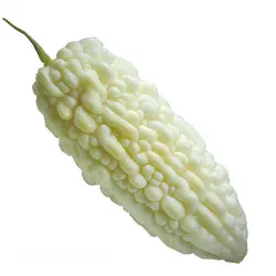 BITTER GOURD WHITE