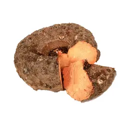 YAM (CHENA)