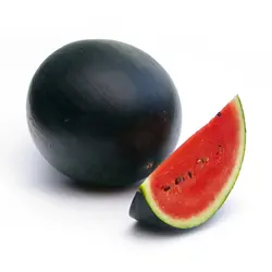 WATERMELON (KIRAN)