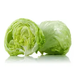 iceburg lettuce