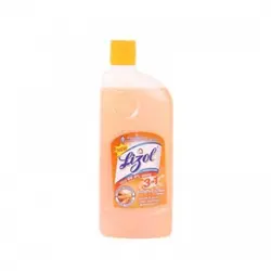 LIZOL SANDAL 500ML