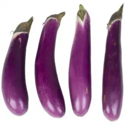 BRINJAL NADAN