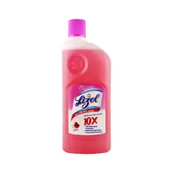 LIZOL FLORAL 500ML