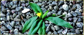 Deep's Photography