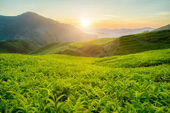 Kerala Holidays Pvt. Ltd.
