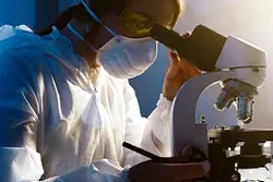 Science and Humanities