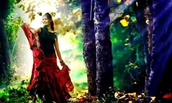 Outdoor Photos
