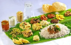 Vegetable Meals