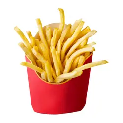Salted French Fries