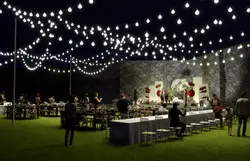 Meeting & Events