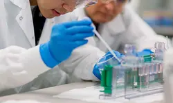 Medical Lab