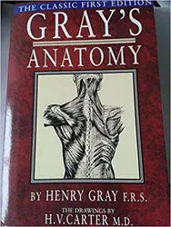 GRAY'S ANATOMY THE CLASSIC FIRST EDITION Paperback – 2005