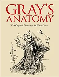 Gray's Anatomy: Slip-case Edition Deluxe Gift Edition 