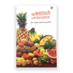 Pazhangal Pazhavibhavangal