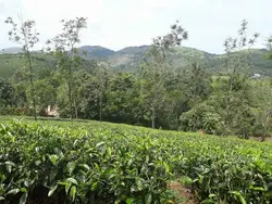 1 acre land in vagdmon