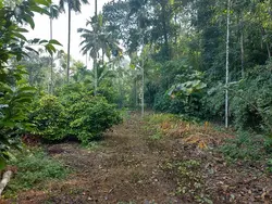 1.5 acres / 30 cents of land for sale in koratty, near koratty infopark