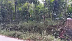 വീട് വെക്കുവാൻ അനുയോജ്യം ആയ സ്ഥലം per cent 130000
