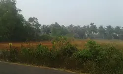Plot