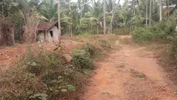 9 cent പാലത്ത്