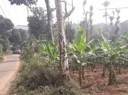 Unni Kattappana