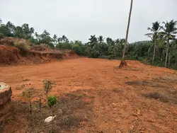 6.5 Acer land for sale