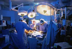Heart Institute