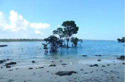 Andaman Packages