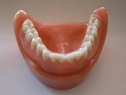 flexible denture