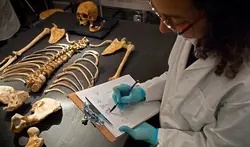 Forensic Medicine