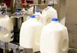Dairying ( Milk Products)