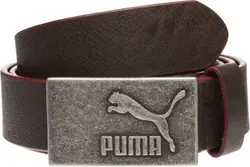 Puma  Men & Women Brown Genuine Leather Belt