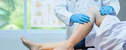 Orthopaedic