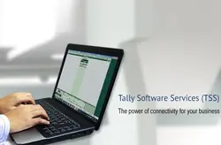 TALLY SOFTWARE SERVICES