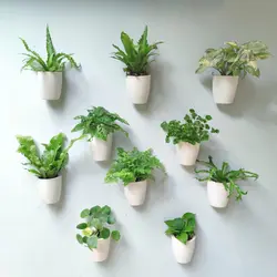 Plant Wall Hanging